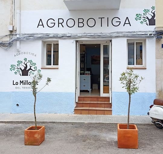 Lo milloret del terreno