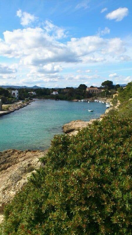 Le port naturel d'Estany