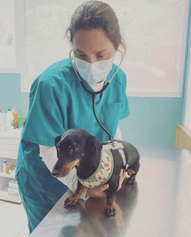 Centro Veterinario la Cala