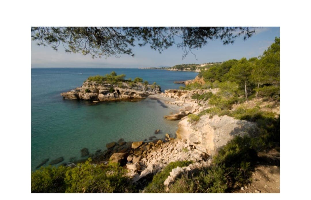 Onboats rental - Alquiler de embarcaciones con o sin patrón, chárteres de pesca y excursiones náuticas