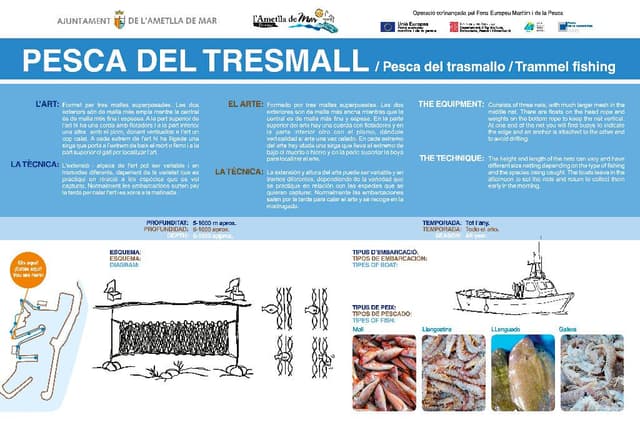 5. Pesca del trasmallo (Ruta: Descubre la esencia de un pueblo pescador).