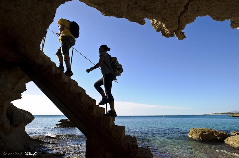 Ruta del GR-92 de l'Ametlla de Mar a la "Cala de l'Áliga" - Donde los pinos se enamoran del mar