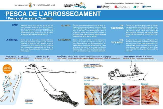 7. Pesca del arrastre (Ruta: Descubre la esencia de un pueblo pescador).