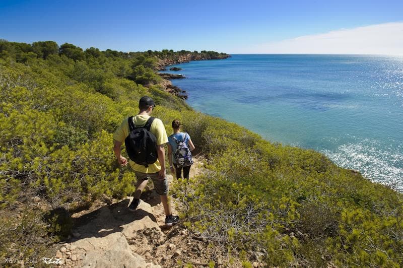 Ruta del GR-92 de l'Ametlla de Mar a la "Cala de l'Áliga" - Donde los pinos se enamoran del mar