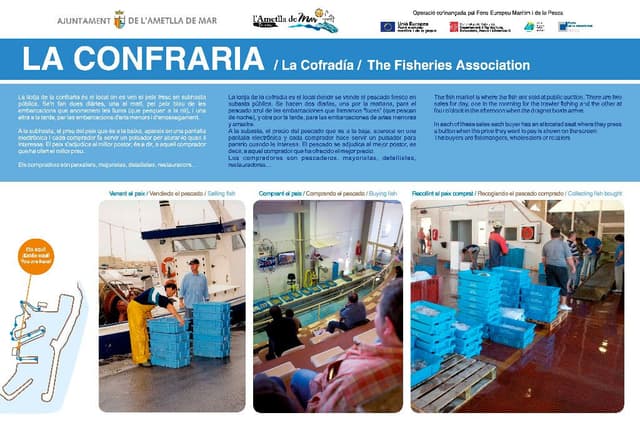 8. La cofradía (Descubre la esencia de un pueblo pescador).