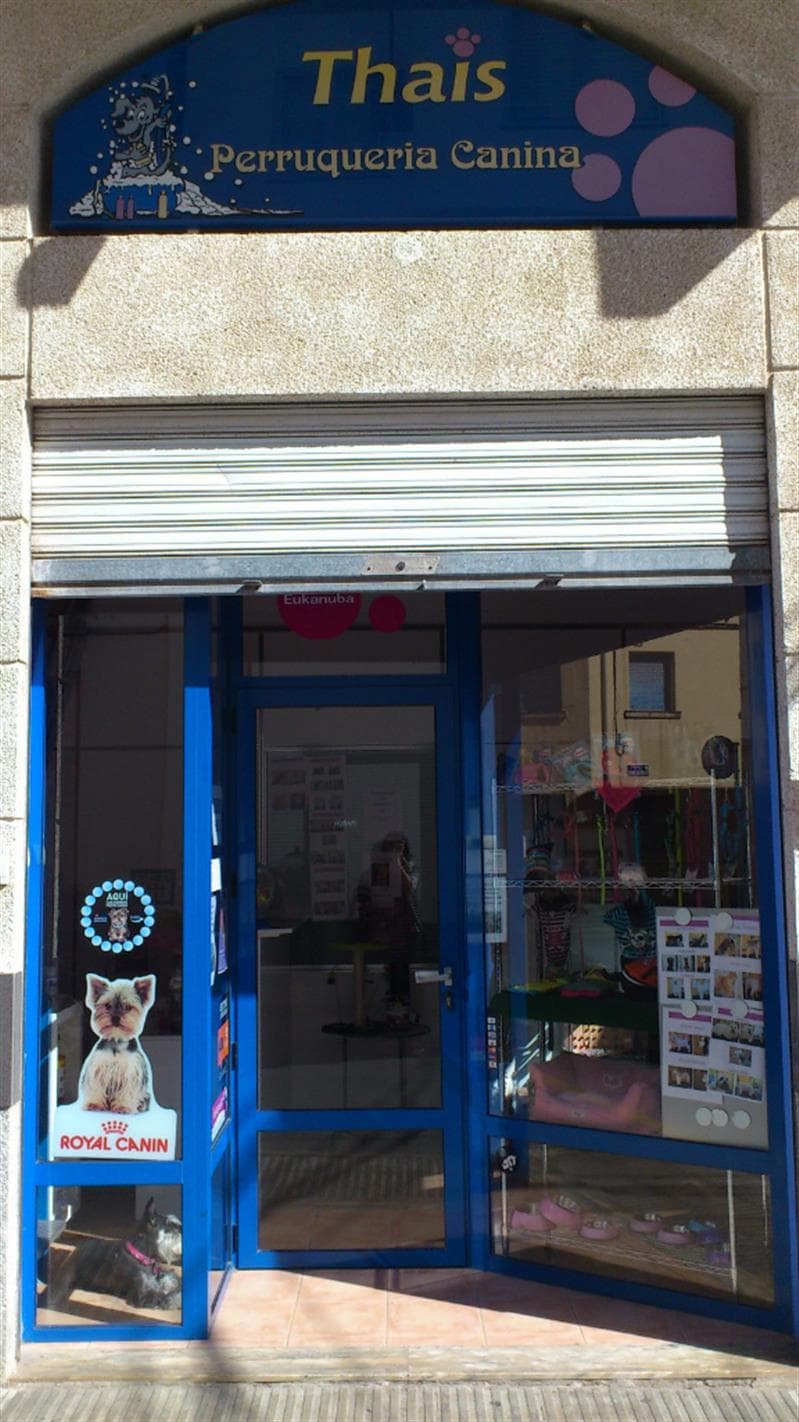 Thays Mascotas