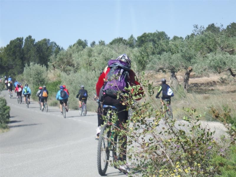Alquiler bicicletas - Mar Natura