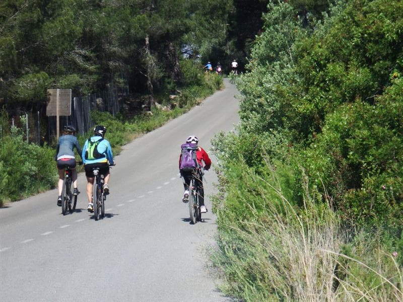 Alquiler bicicletas - Mar Natura