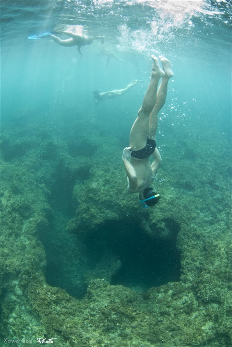Actividad: Descubre el fondo marino "snorkel" - Mar Natura