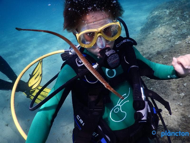 Bautizo de buceo a 3 Calas – Plàncton Diving