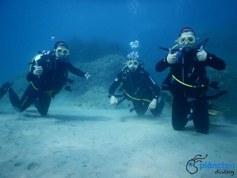 Curso de buceo Open Water Diver SSI/ACUC – Plàncton DIving