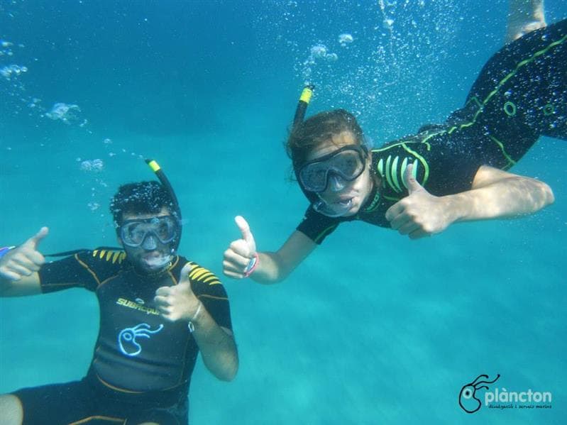 Experiencia snorkel con oceanógrafas - Plàncton Diving