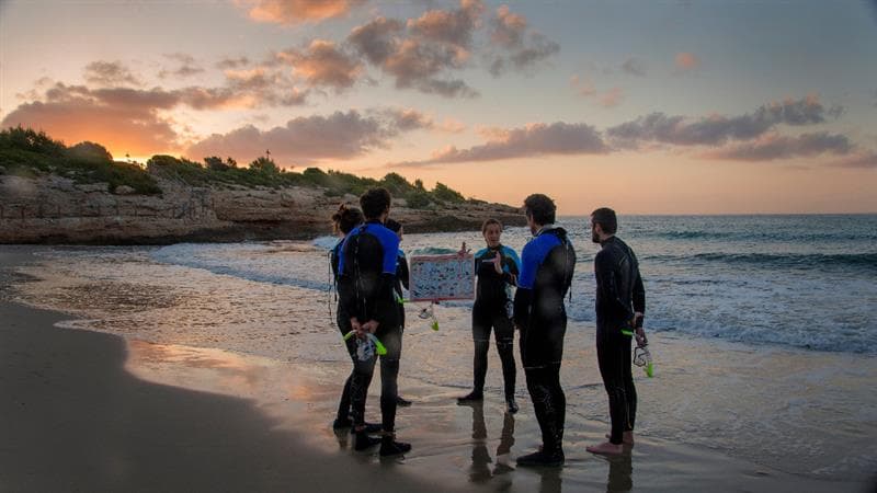 Experiencia snorkel con oceanógrafas - Plàncton Diving