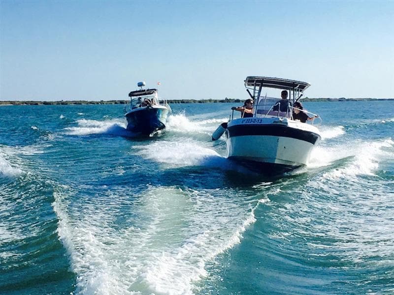 Location de bateaux Playamar 636 - Top Fisher